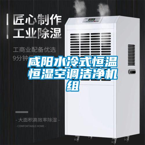 咸陽水冷式恒溫恒濕空調潔凈機組