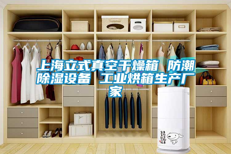 上海立式真空干燥箱 防潮除濕設備 工業烘箱生產廠家