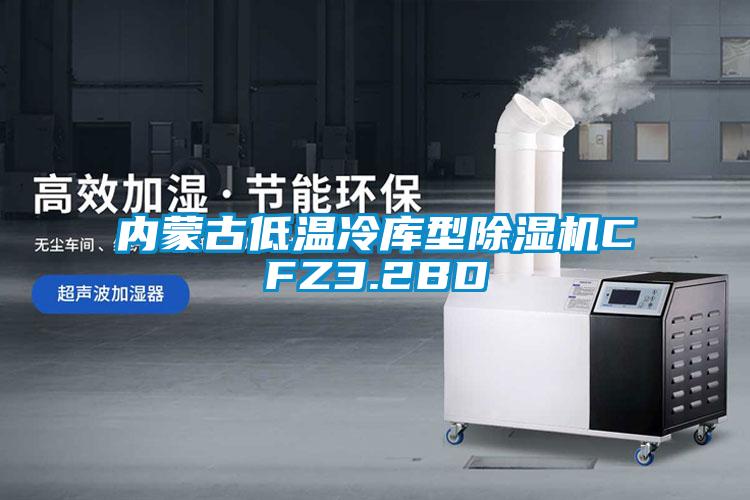 內蒙古低溫冷庫型除濕機CFZ3.2BD
