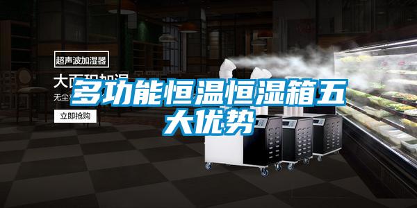 多功能恒溫恒濕箱五大優(yōu)勢
