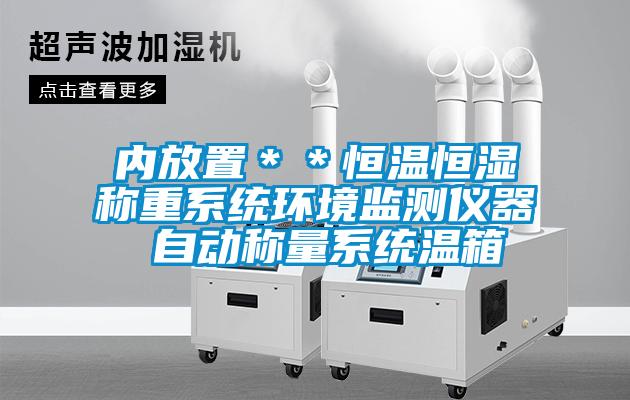 內(nèi)放置＊＊恒溫恒濕稱重系統(tǒng)環(huán)境監(jiān)測(cè)儀器 自動(dòng)稱量系統(tǒng)溫箱