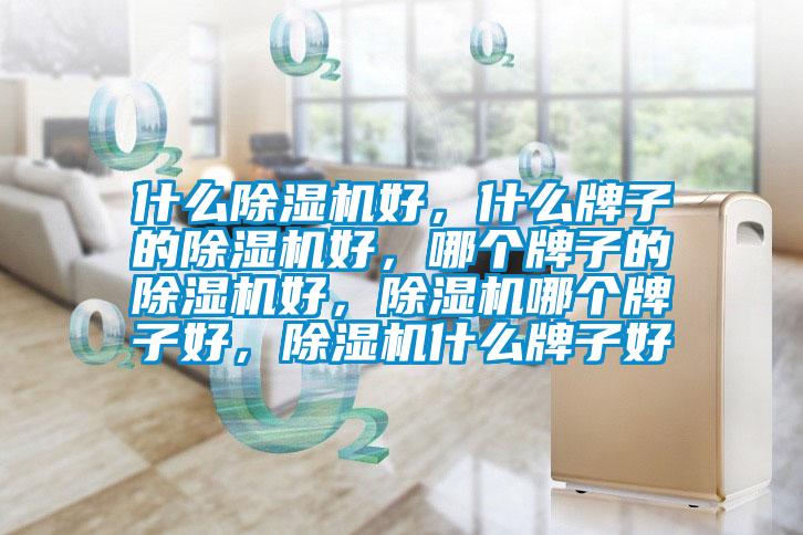 什么除濕機(jī)好，什么牌子的除濕機(jī)好，哪個牌子的除濕機(jī)好，除濕機(jī)哪個牌子好，除濕機(jī)什么牌子好