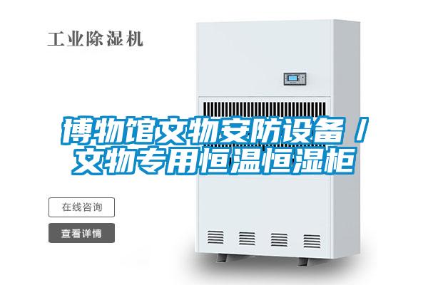 博物館文物安防設備／文物專用恒溫恒濕柜