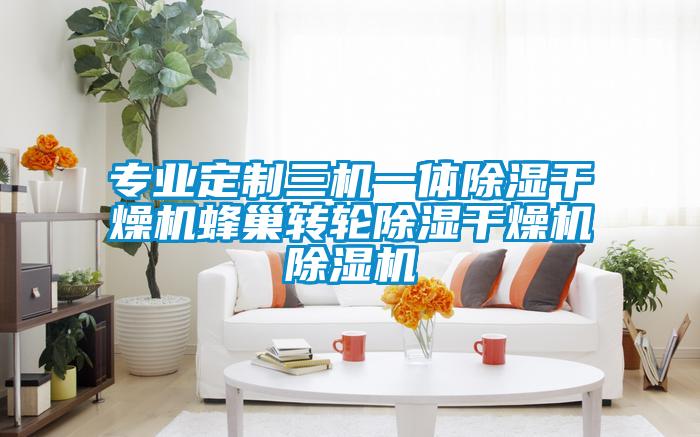 專業(yè)定制三機一體除濕干燥機蜂巢轉輪除濕干燥機除濕機