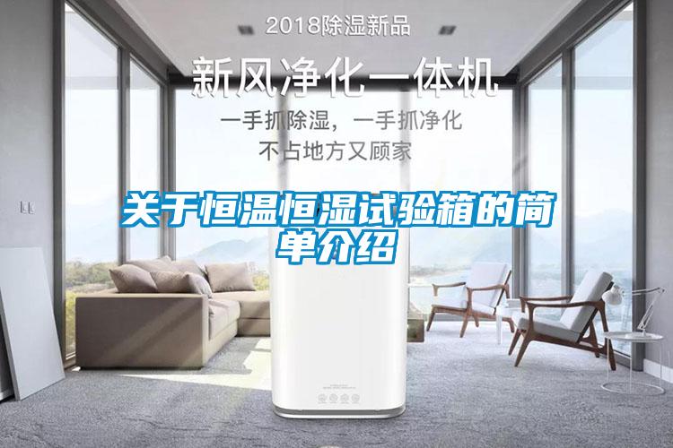 關于恒溫恒濕試驗箱的簡單介紹