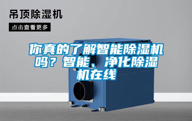 你真的了解智能除濕機嗎？智能、凈化除濕機在線