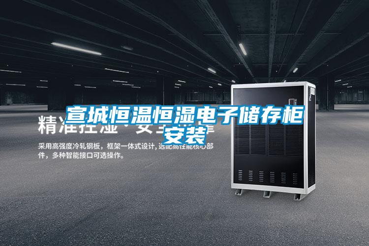 宣城恒溫恒濕電子儲存柜安裝