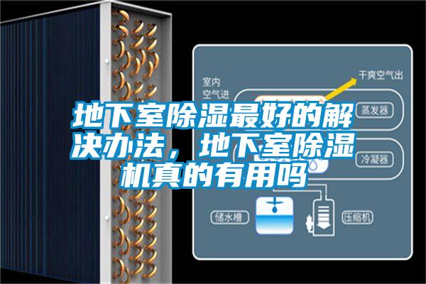 地下室除濕最好的解決辦法，地下室除濕機(jī)真的有用嗎