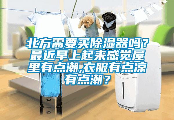 北方需要買除濕器嗎？最近早上起來感覺屋里有點潮,衣服有點涼有點潮？