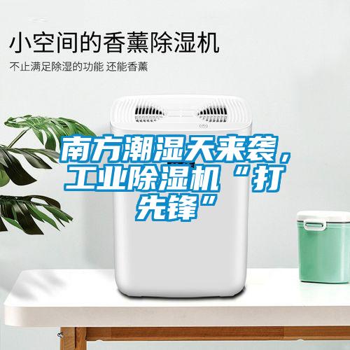 南方潮濕天來襲，工業除濕機“打先鋒”