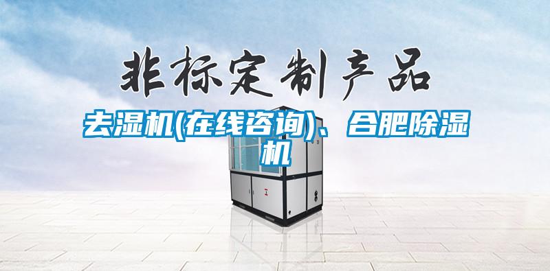 去濕機(jī)(在線咨詢)、合肥除濕機(jī)