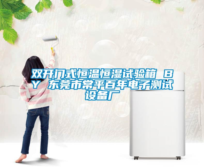 雙開門式恒溫恒濕試驗箱 BY 東莞市常平百年電子測試設(shè)備廠