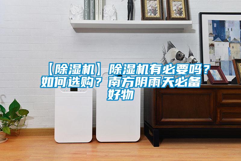 【除濕機】除濕機有必要嗎？如何選購？南方陰雨天必備好物