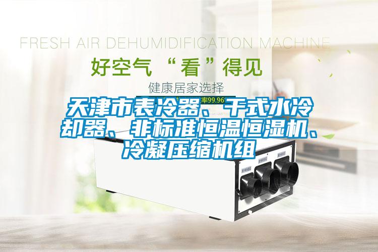天津市表冷器、干式水冷卻器、非標(biāo)準(zhǔn)恒溫恒濕機(jī)、冷凝壓縮機(jī)組