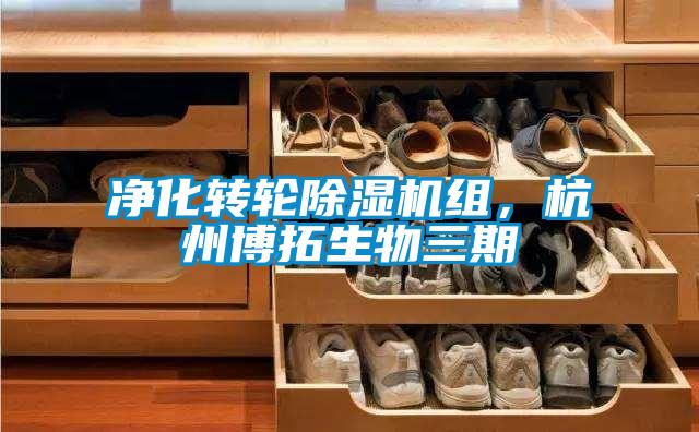 凈化轉輪除濕機組，杭州博拓生物三期