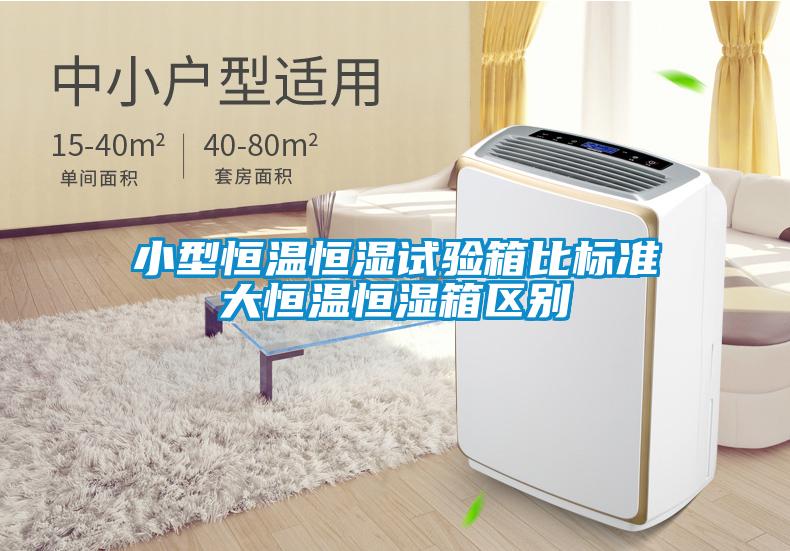 小型恒溫恒濕試驗箱比標準大恒溫恒濕箱區(qū)別