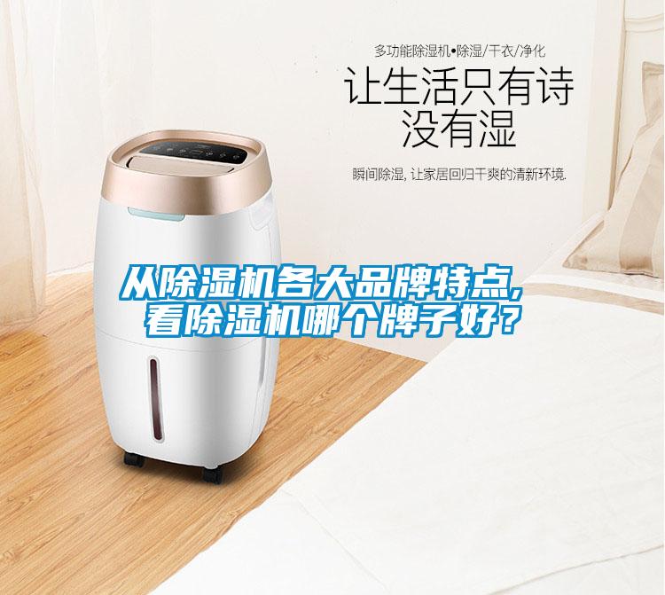 從除濕機各大品牌特點, 看除濕機哪個牌子好？