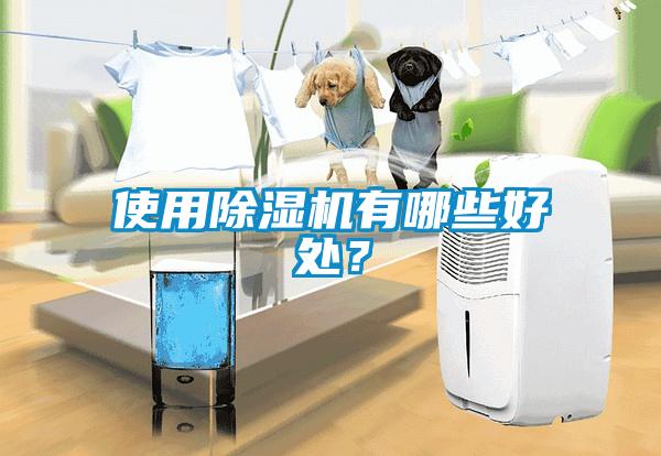 使用除濕機(jī)有哪些好處？