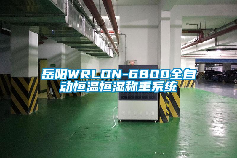 岳陽WRLDN-6800全自動恒溫恒濕稱重系統