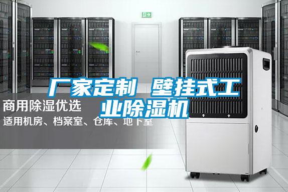 廠家定制 壁掛式工業除濕機