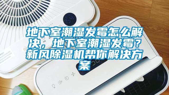 地下室潮濕發霉怎么解決，地下室潮濕發霉？新風除濕機幫你解決方案