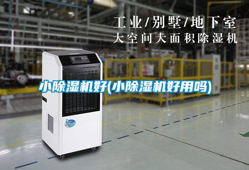 小除濕機好(小除濕機好用嗎)