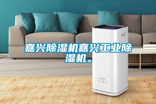 嘉興除濕機(jī)嘉興工業(yè)除濕機(jī)。
