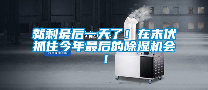 就剩最后一天了！在末伏抓住今年最后的除濕機會！