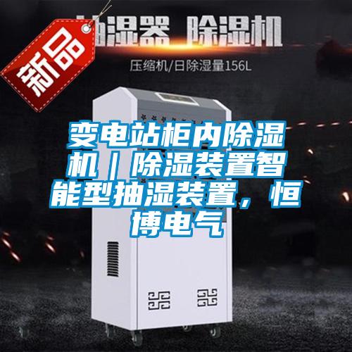 變電站柜內(nèi)除濕機(jī)｜除濕裝置智能型抽濕裝置，恒博電氣