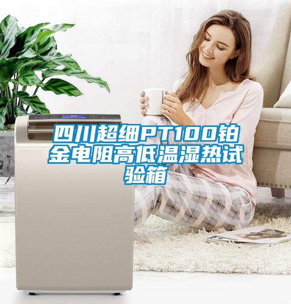四川超細(xì)PT100鉑金電阻高低溫濕熱試驗(yàn)箱