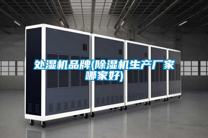 處濕機(jī)品牌(除濕機(jī)生產(chǎn)廠家哪家好)