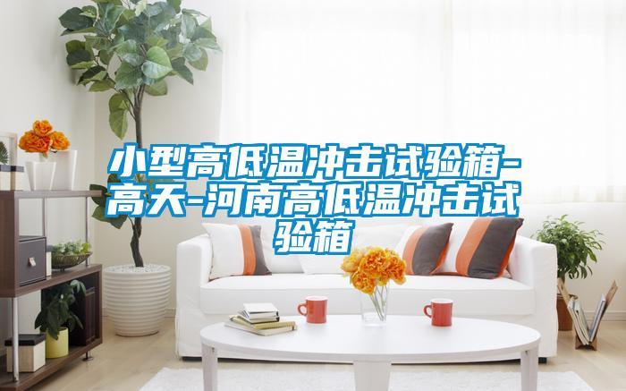小型高低溫沖擊試驗(yàn)箱-高天-河南高低溫沖擊試驗(yàn)箱
