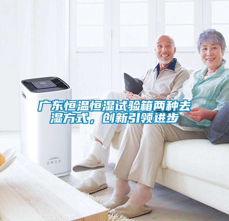 廣東恒溫恒濕試驗箱兩種去濕方式，創新引領進步