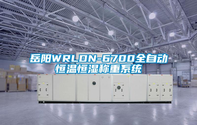 岳陽WRLDN-6700全自動恒溫恒濕稱重系統