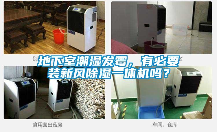 地下室潮濕發霉，有必要裝新風除濕一體機嗎？