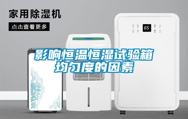 影響恒溫恒濕試驗(yàn)箱均勻度的因素