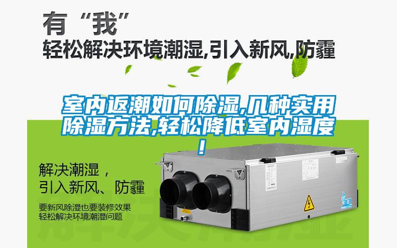室內(nèi)返潮如何除濕,幾種實(shí)用除濕方法,輕松降低室內(nèi)濕度！
