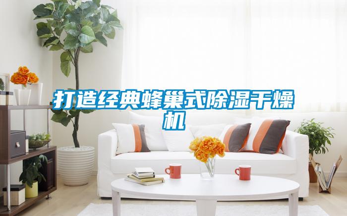 打造經(jīng)典蜂巢式除濕干燥機(jī)