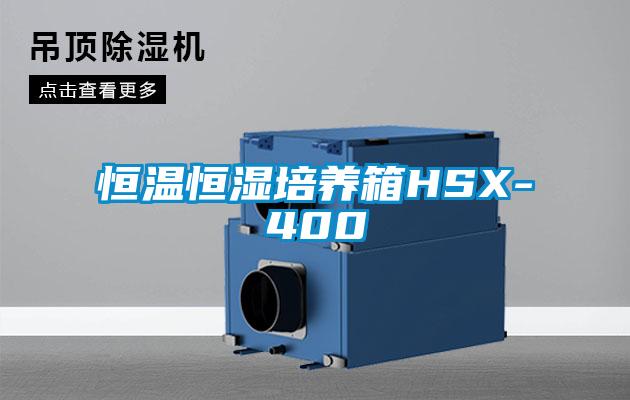 恒溫恒濕培養箱HSX-400