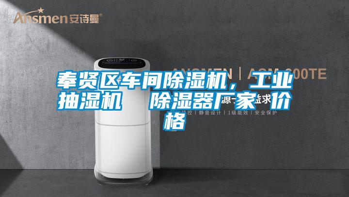 奉賢區(qū)車間除濕機，工業(yè)抽濕機  除濕器廠家 價格