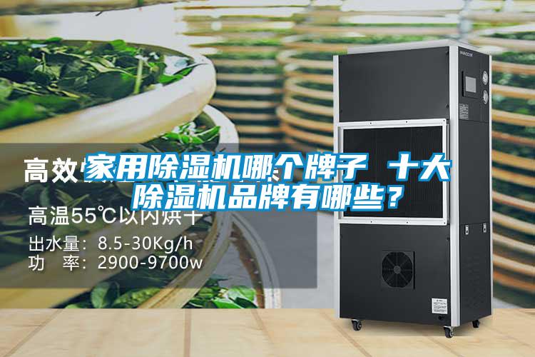 家用除濕機哪個牌子 十大除濕機品牌有哪些？
