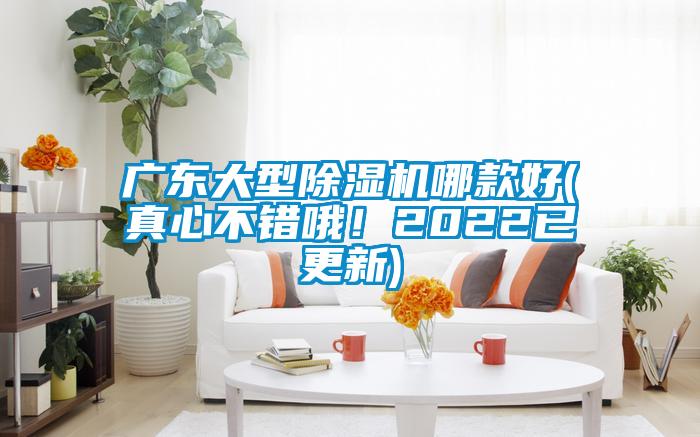 廣東大型除濕機哪款好(真心不錯哦！2022已更新)