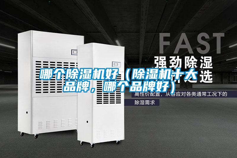 哪個除濕機好（除濕機十大品牌，哪個品牌好）