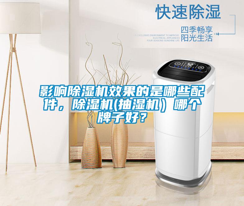 影響除濕機效果的是哪些配件，除濕機(抽濕機）哪個牌子好？