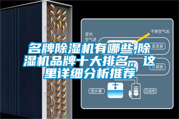 名牌除濕機有哪些,除濕機品牌十大排名，這里詳細分析推薦