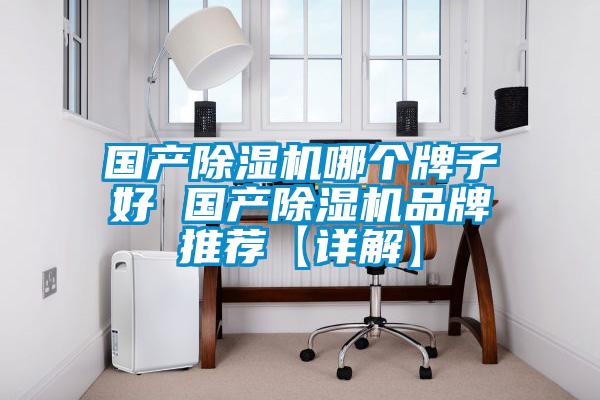 國產(chǎn)除濕機(jī)哪個牌子好 國產(chǎn)除濕機(jī)品牌推薦【詳解】