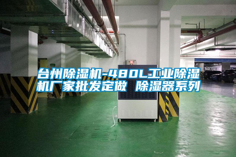 臺(tái)州除濕機(jī)-480L工業(yè)除濕機(jī)廠家批發(fā)定做 除濕器系列
