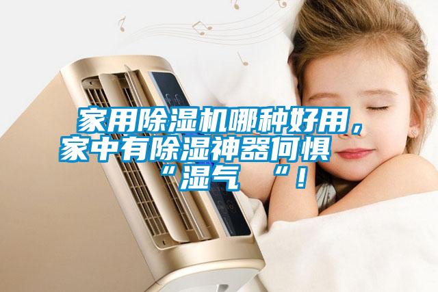 家用除濕機(jī)哪種好用，家中有除濕神器何懼 “濕氣 “！