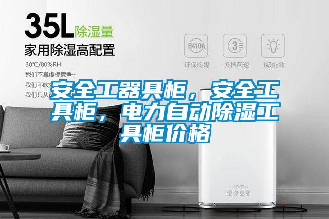 安全工器具柜，安全工具柜，電力自動除濕工具柜價格