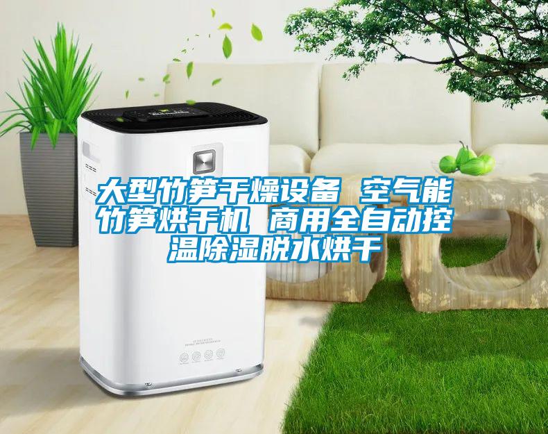 大型竹筍干燥設(shè)備 空氣能竹筍烘干機 商用全自動控溫除濕脫水烘干